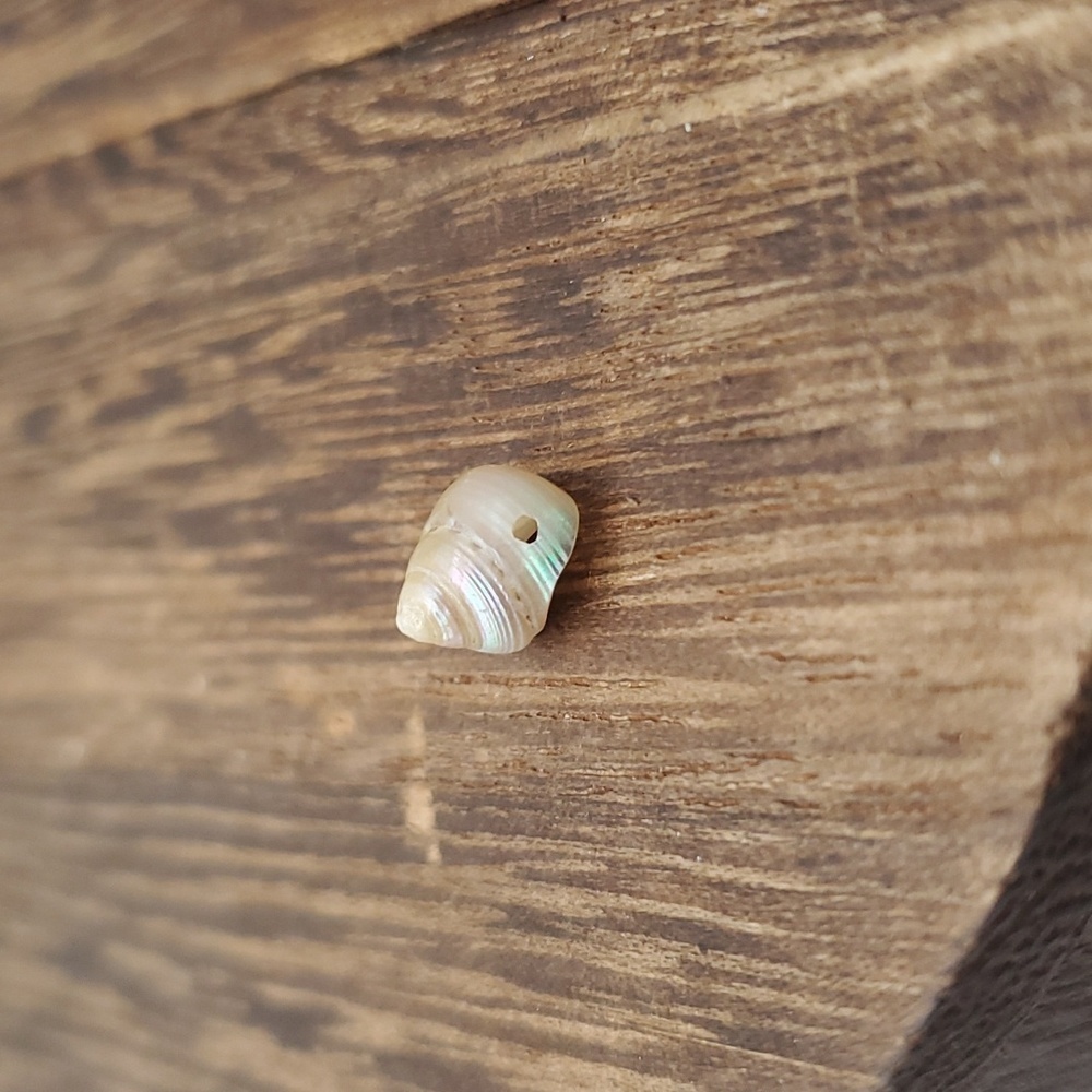 Mother of pearl delicate shell charm‎ bead